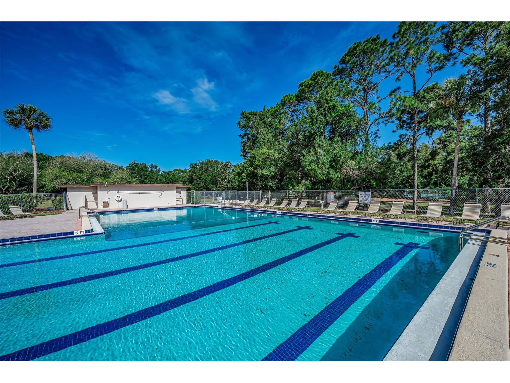 520 Sandy Hook Road Palm Harbor FL 34683 TB8506782 image65