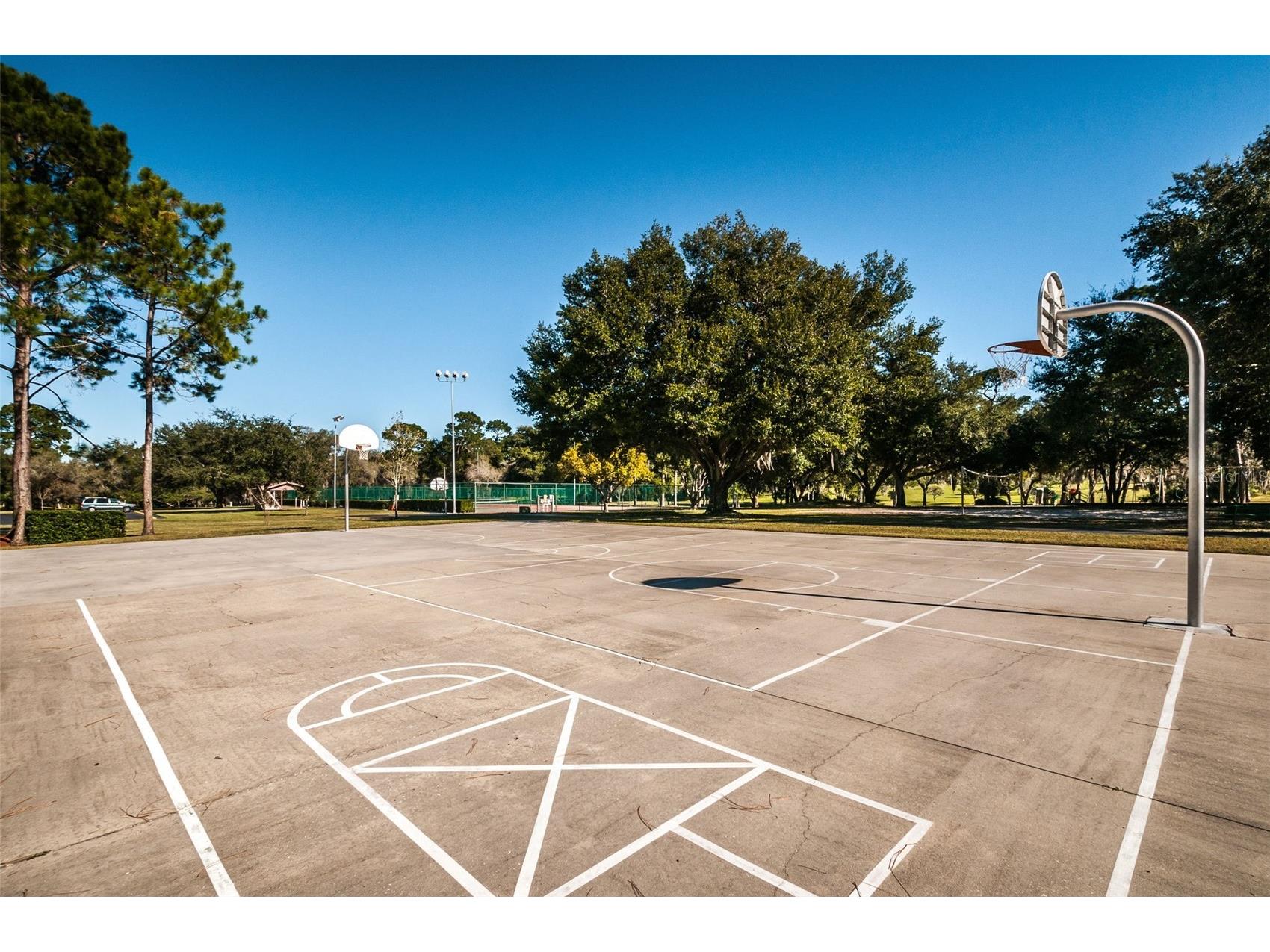 520 Sandy Hook Road Palm Harbor FL 34683 TB8506782 image70