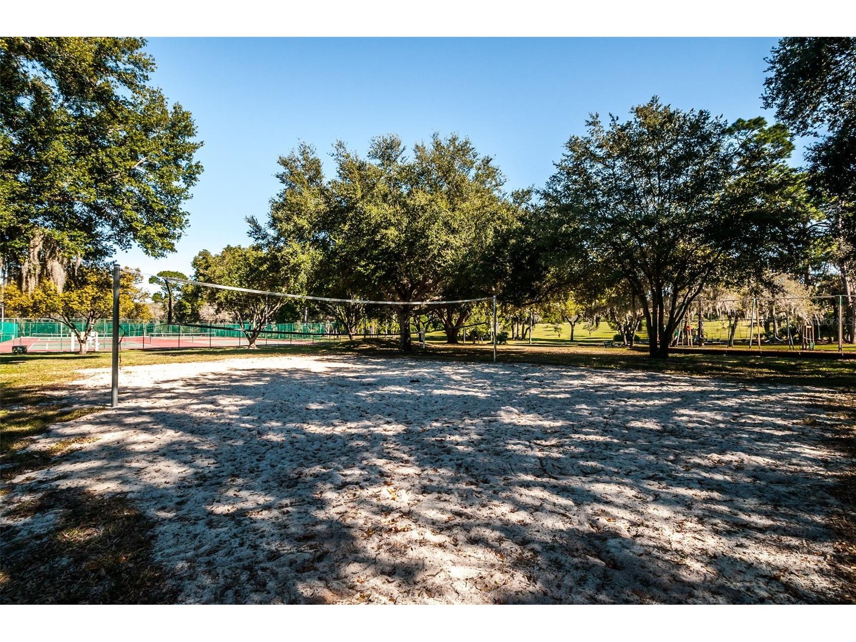 520 Sandy Hook Road Palm Harbor FL 34683 TB8506782 image71