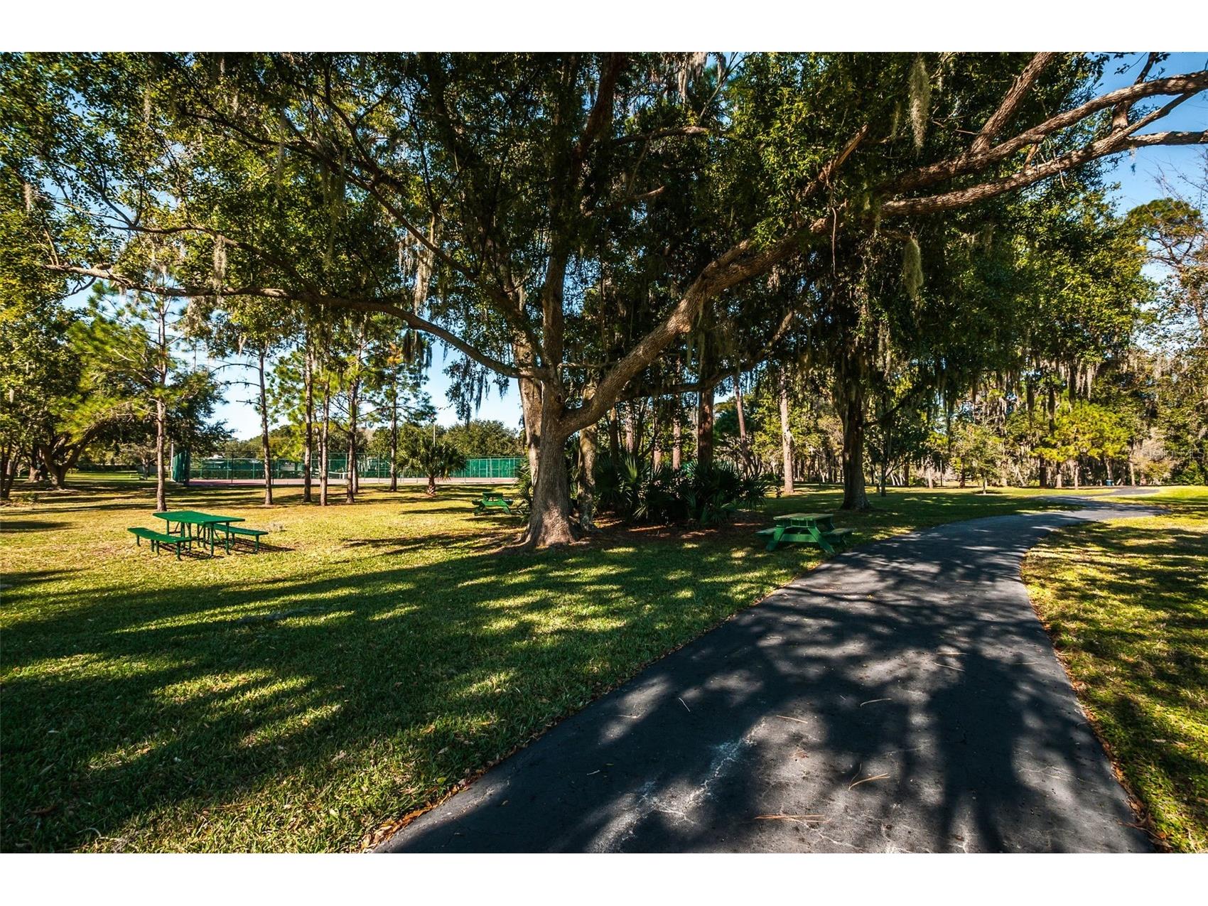 520 Sandy Hook Road Palm Harbor FL 34683 TB8506782 image74