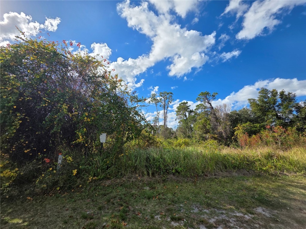 520 W Kingway Drive Deltona FL 32725 O6369470 image2