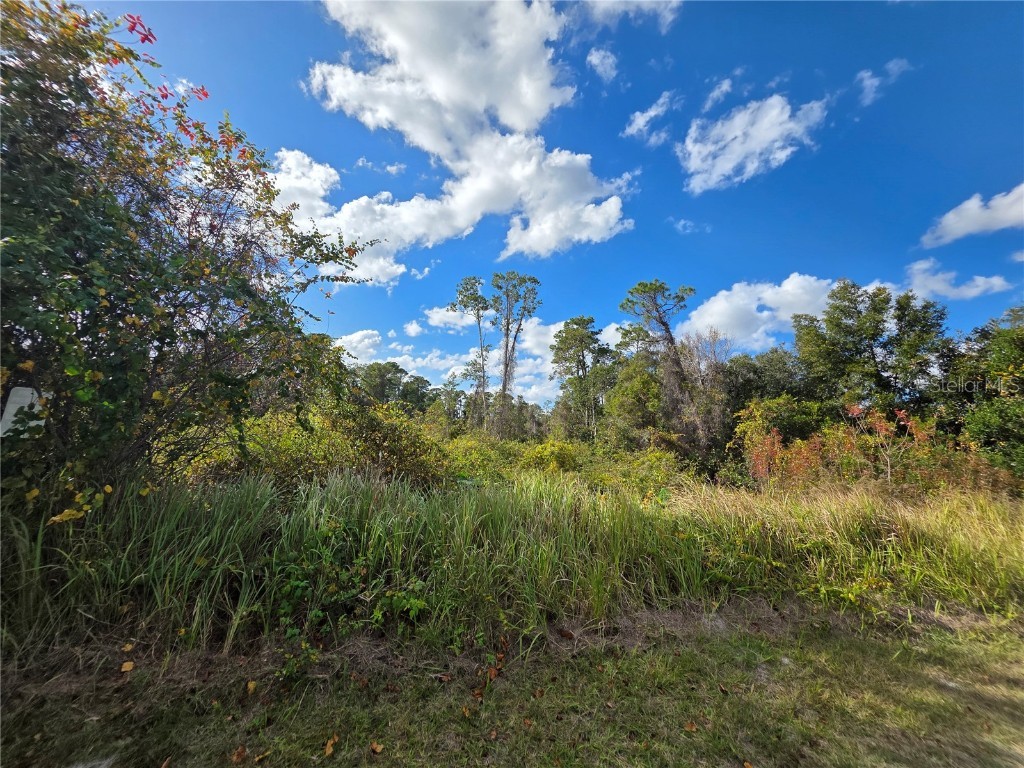 520 W Kingway Drive Deltona FL 32725 O6369470 image3