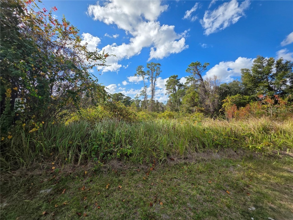 520 W Kingway Drive Deltona FL 32725 O6369470 image4
