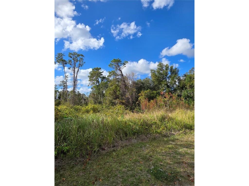 520 W Kingway Drive Deltona FL 32725 O6369470 image5