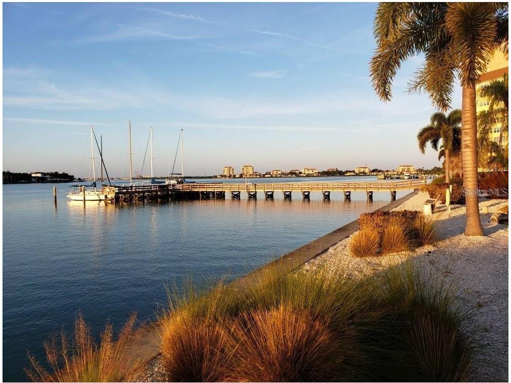 5200 Brittany Dr. S #1510 Saint Petersburg FL 33715 TB8461913 image26