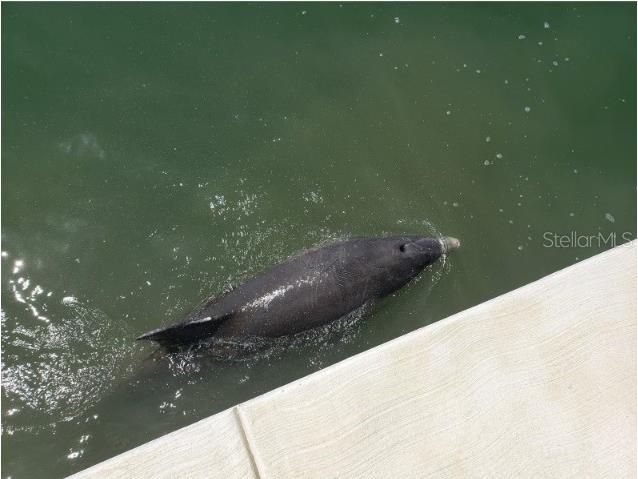 5200 Brittany Dr. S #1510 Saint Petersburg FL 33715 TB8461913 image42