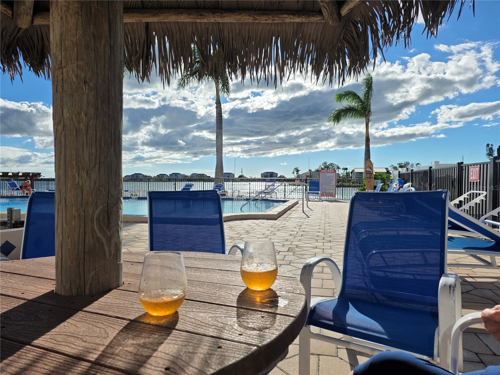 5200 Brittany Dr. S #1510 Saint Petersburg FL 33715 TB8461913 image67