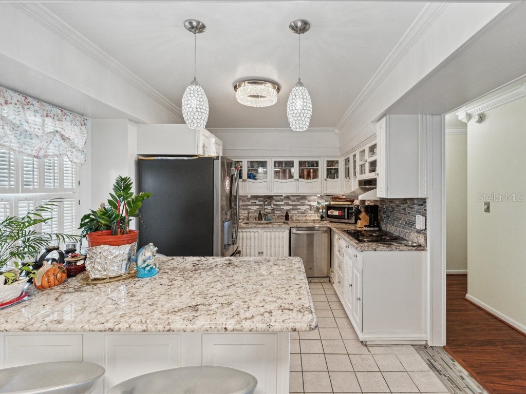 5200 Brittany Drive S #1204 Saint Petersburg FL 33715 TB8337764 image14