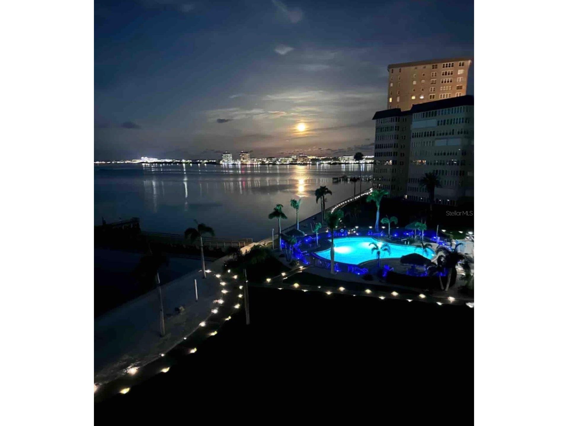 5200 Brittany Drive S #1508 Saint Petersburg FL 33715 - TAMPA BAY AND BOCA CIEGA BAY TB8526529 image98