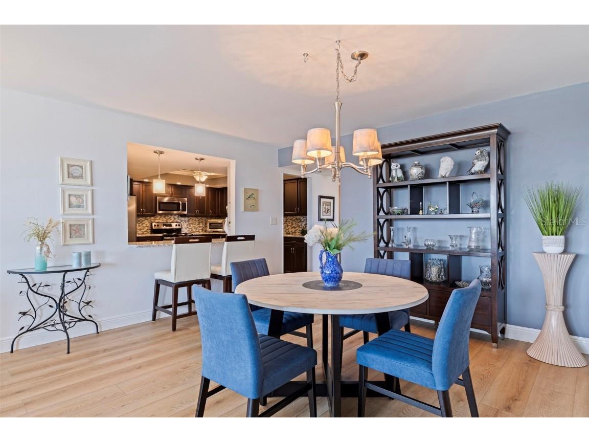 5200 Brittany Drive S #1701 Saint Petersburg FL 33715 TB8448144 image12