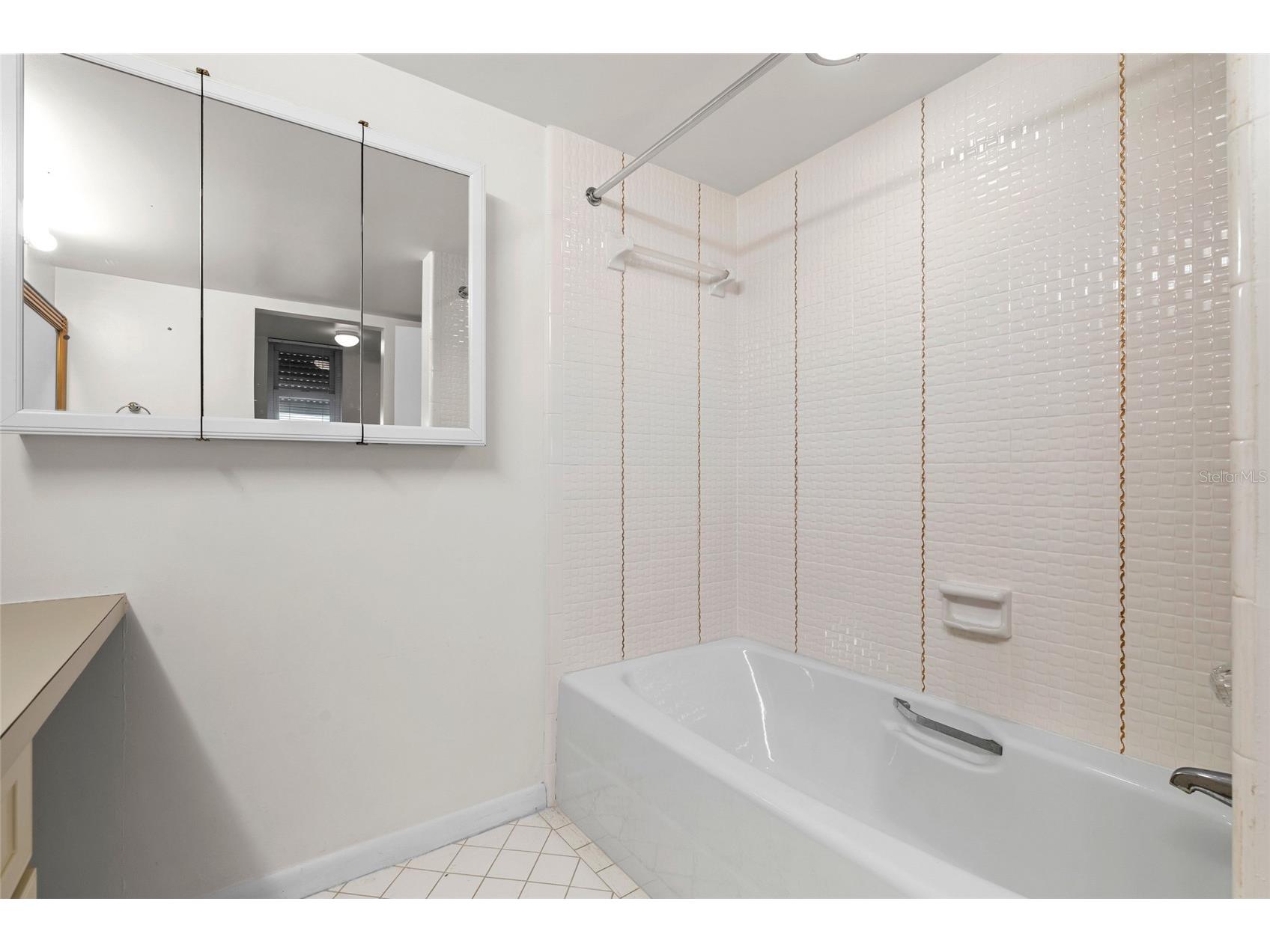 5200 Brittany Drive S #1809 Saint Petersburg FL 33715 TB8476303 image33