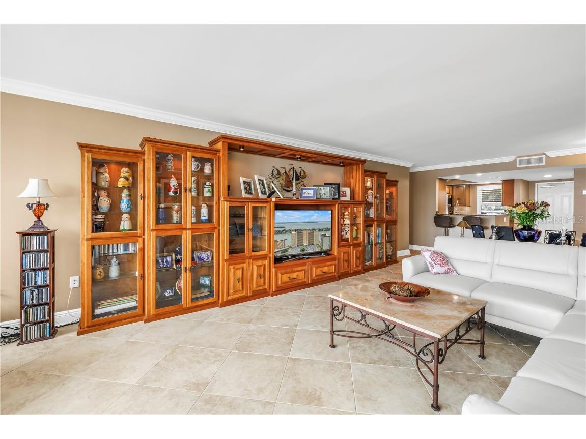 5200 Brittany Drive S #203 Saint Petersburg FL 33715 TB8426883 image17