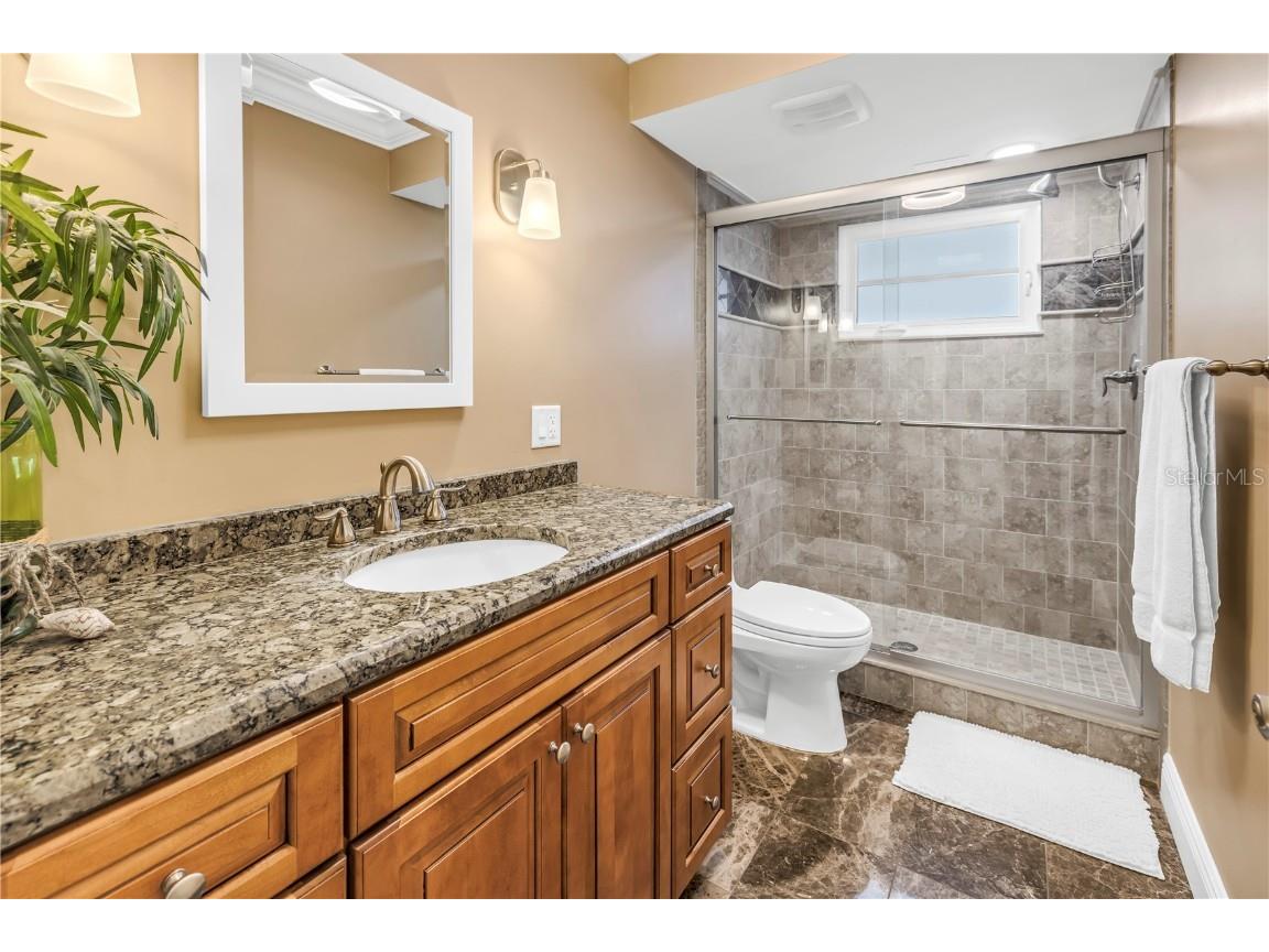 5200 Brittany Drive S #203 Saint Petersburg FL 33715 TB8426883 image39