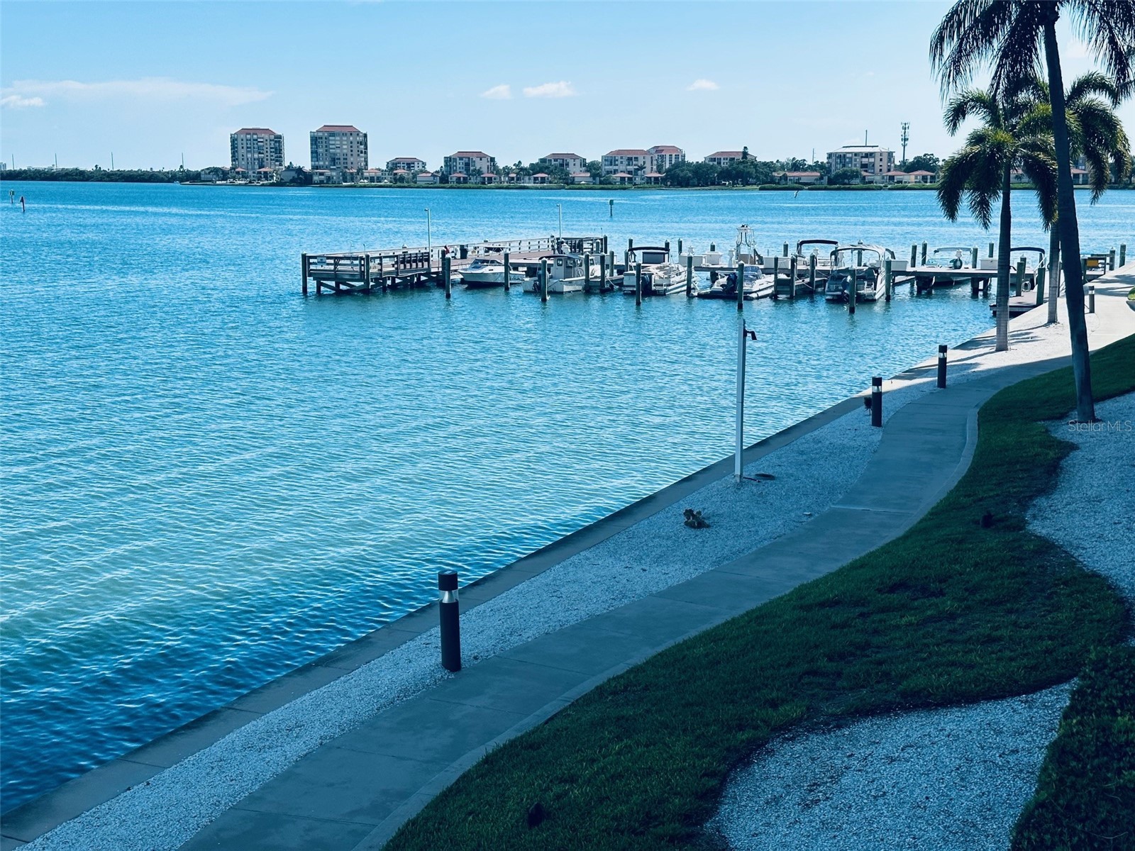 5200 Brittany Drive S #204 Saint Petersburg FL 33715 - TAMPA BAY TB8525282 image1
