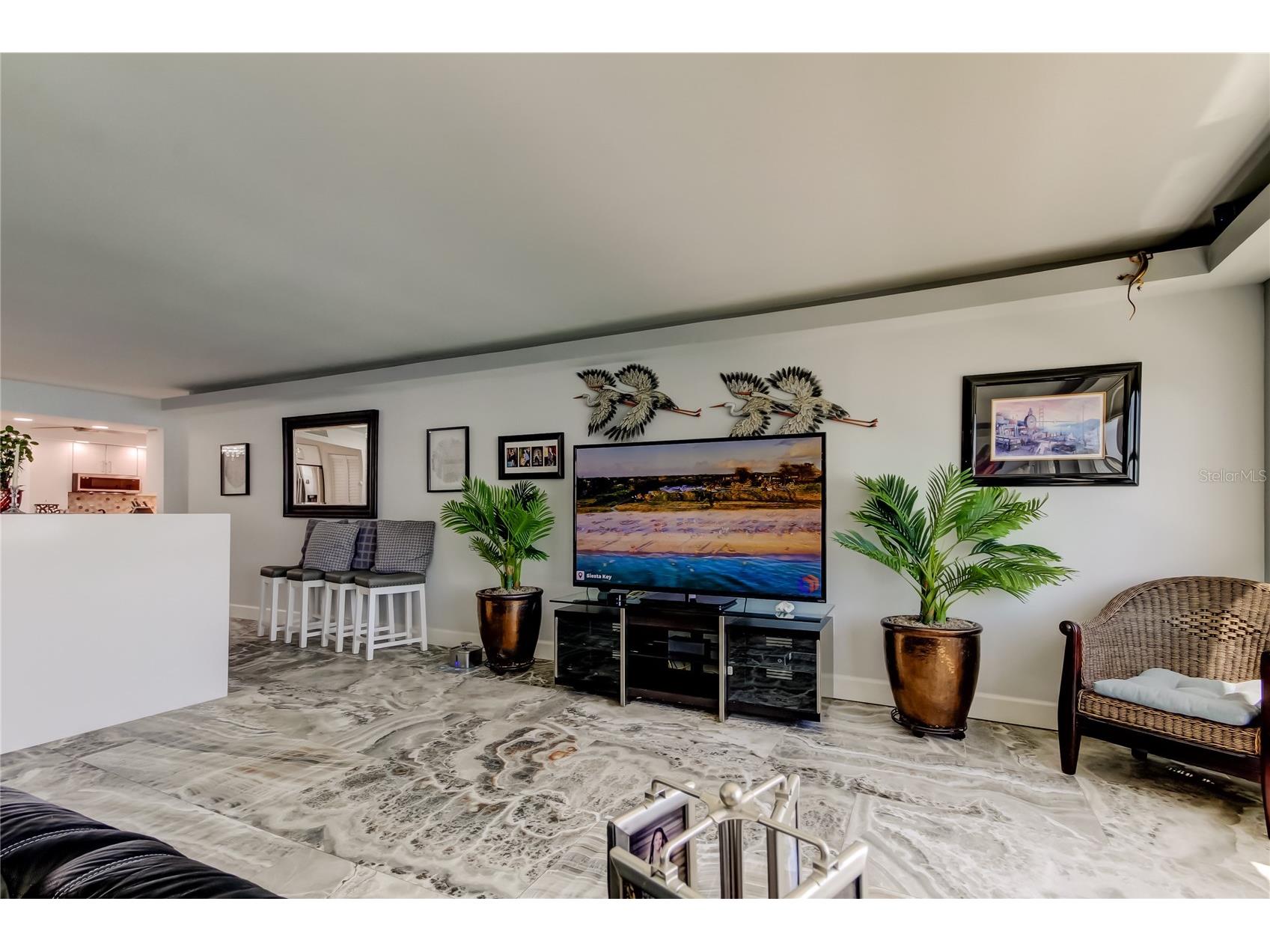 5200 Brittany Drive S #204 Saint Petersburg FL 33715 - TAMPA BAY TB8525282 image20