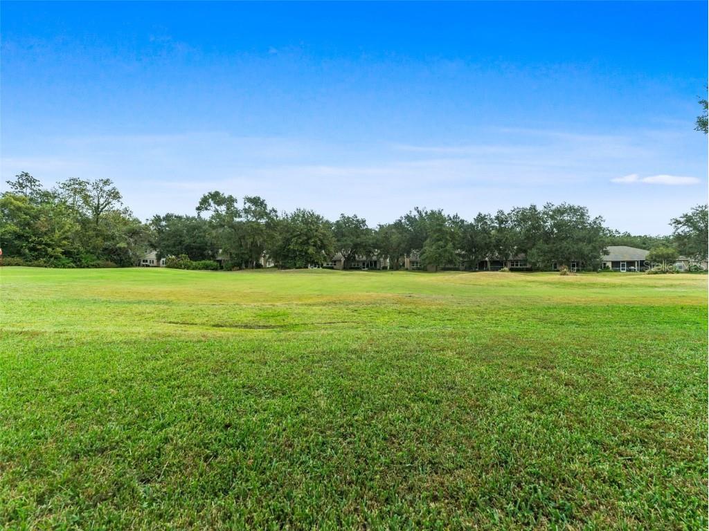 5200 Camberlea Avenue Zephyrhills FL 33541 TB8446508 image45