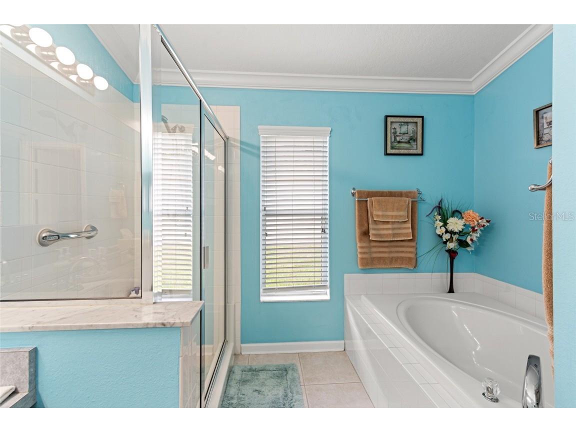 5200 Culpepper Place Wesley Chapel FL 33544 TB8415485 image24