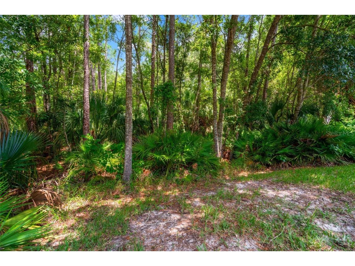 5200 Culpepper Place Wesley Chapel FL 33544 TB8415485 image30