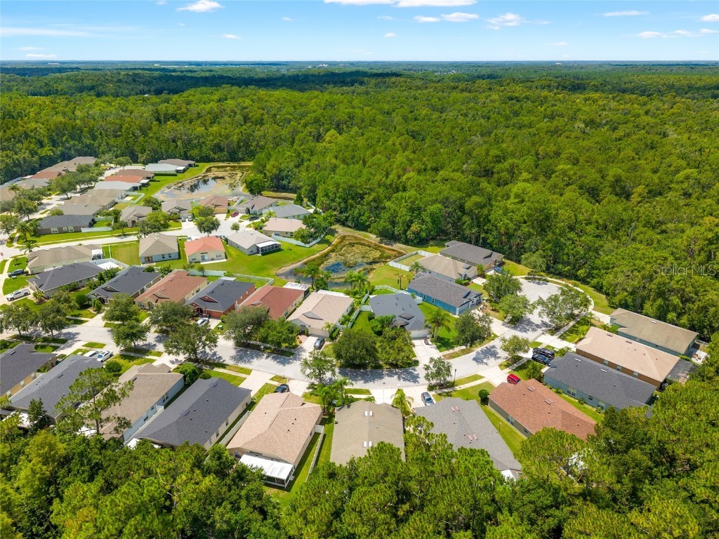 5200 Culpepper Place Wesley Chapel FL 33544 TB8415485 image32