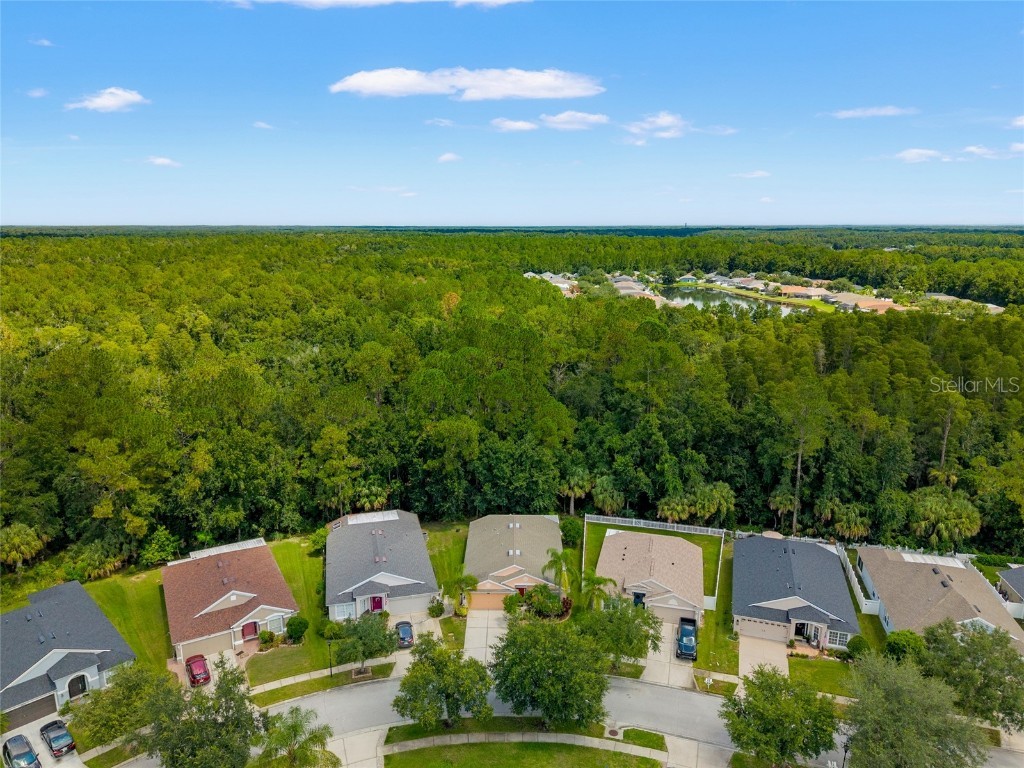 5200 Culpepper Place Wesley Chapel FL 33544 TB8415485 image33