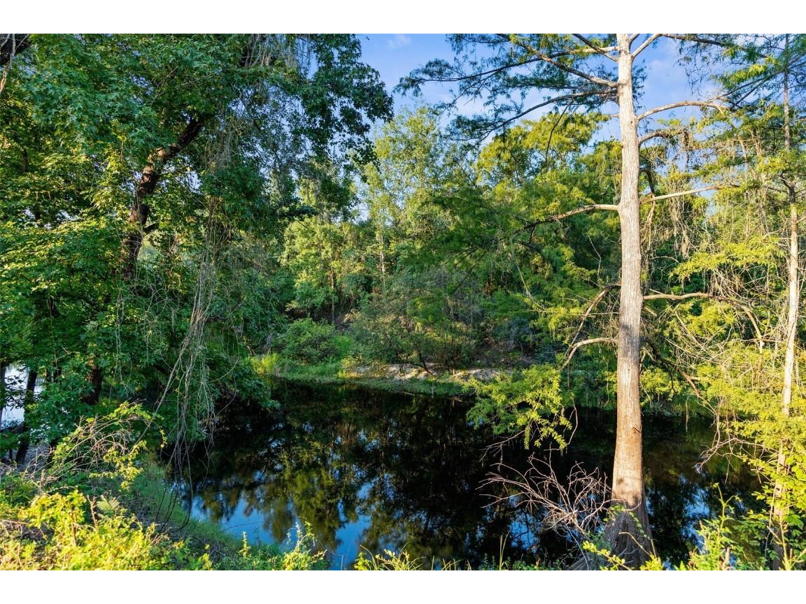 5200 Cyril Drive Dade City FL 33523 - WITHLACOOCHEE RIVER W7878685 image30