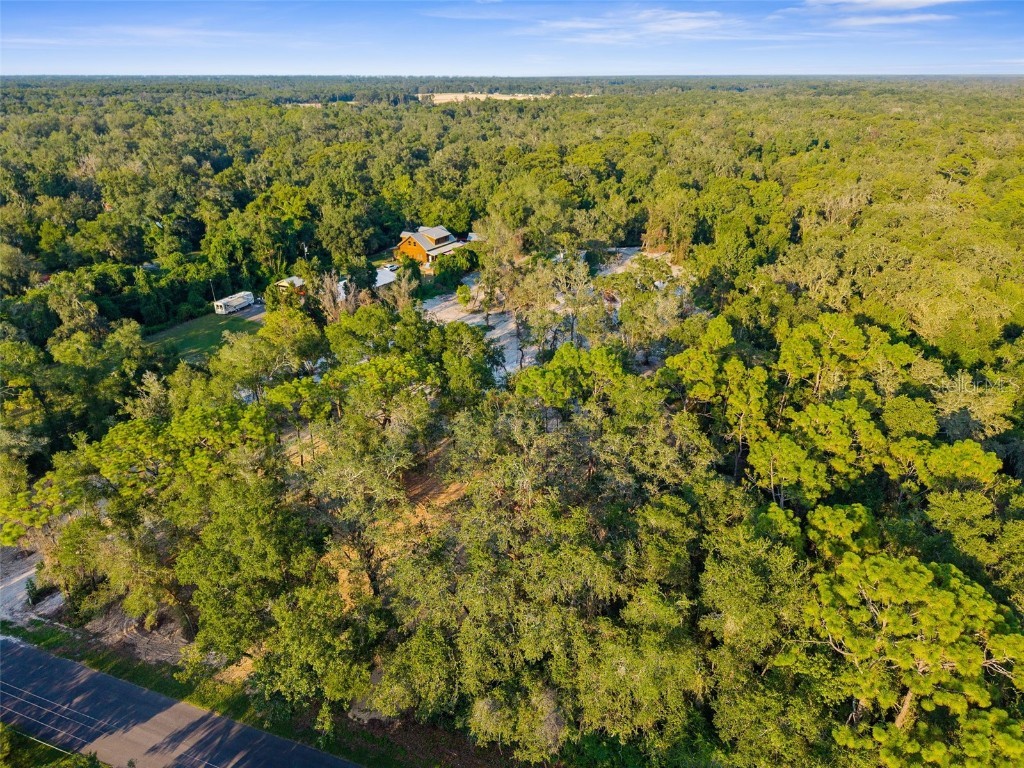 5200 Cyril Drive Dade City FL 33523 - WITHLACOOCHEE RIVER W7878685 image32