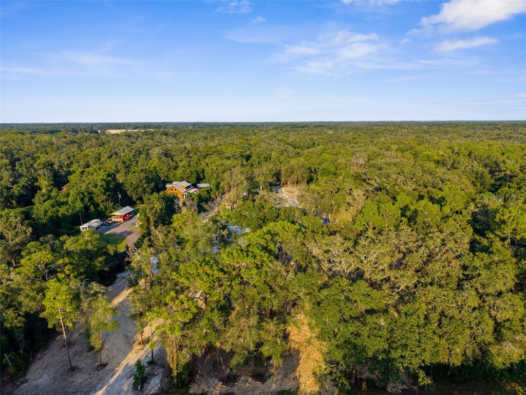 5200 Cyril Drive Dade City FL 33523 - WITHLACOOCHEE RIVER W7878685 image33