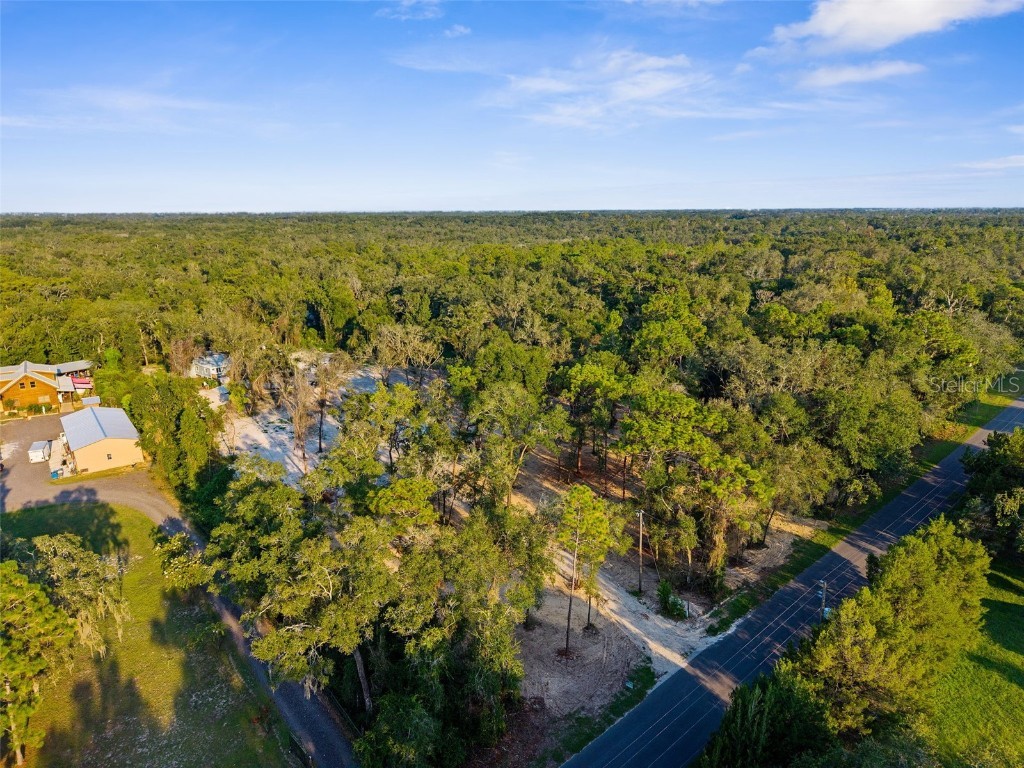 5200 Cyril Drive Dade City FL 33523 - WITHLACOOCHEE RIVER W7878685 image34