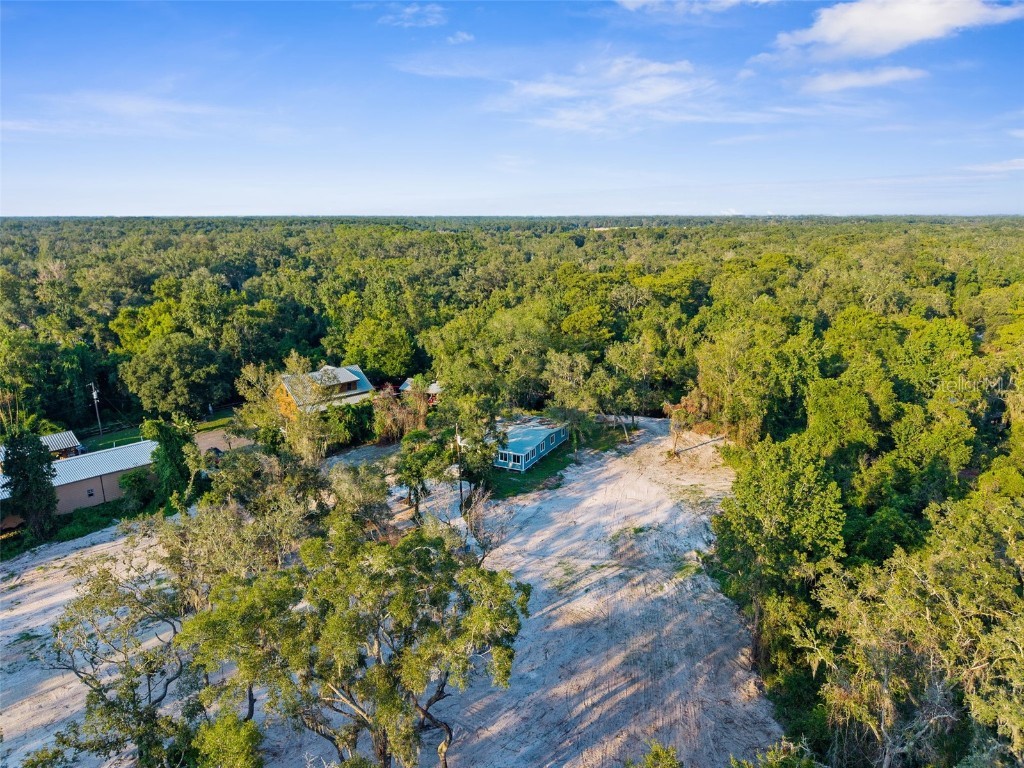 5200 Cyril Drive Dade City FL 33523 - WITHLACOOCHEE RIVER W7878685 image35