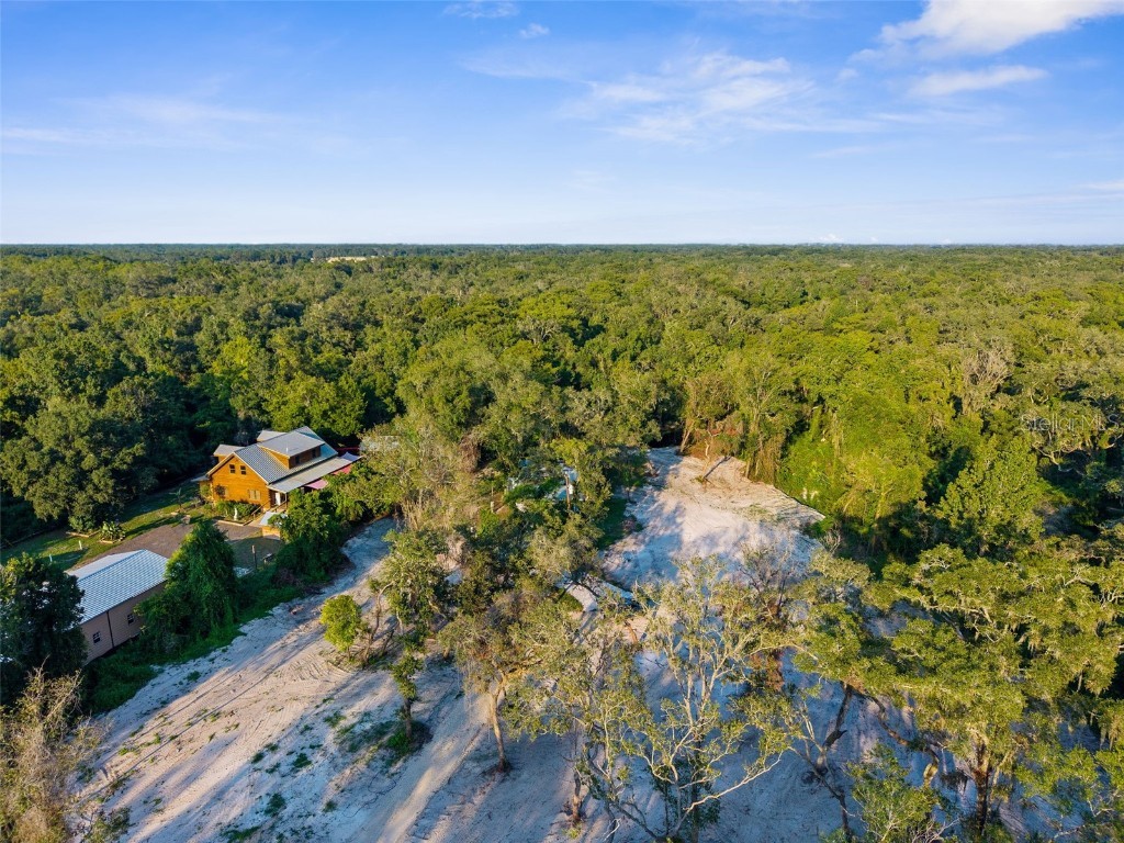 5200 Cyril Drive Dade City FL 33523 - WITHLACOOCHEE RIVER W7878685 image36