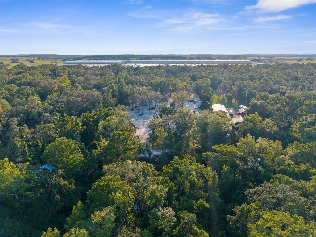 5200 Cyril Drive Dade City FL 33523 - WITHLACOOCHEE RIVER W7878685 image37