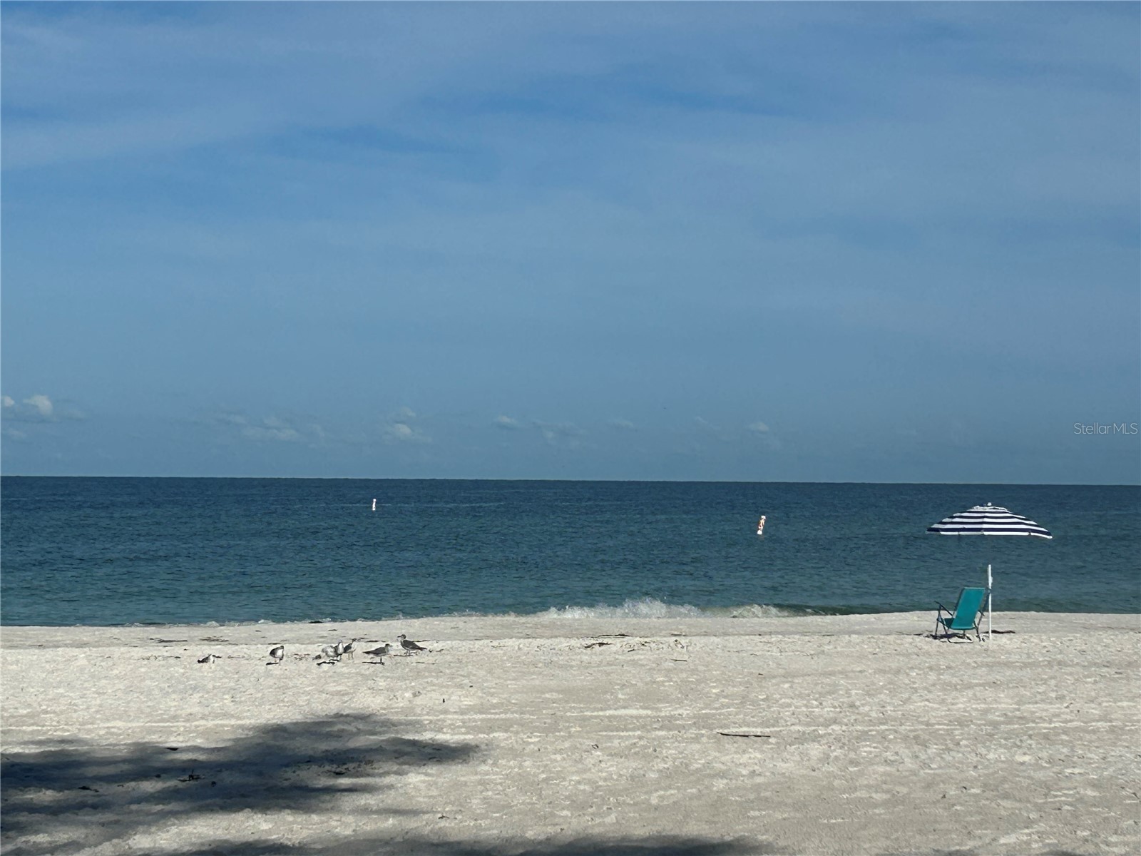 5200 Gulf Drive #408 Holmes Beach FL 34217 - GULF OF AMERICA A4678254 image14