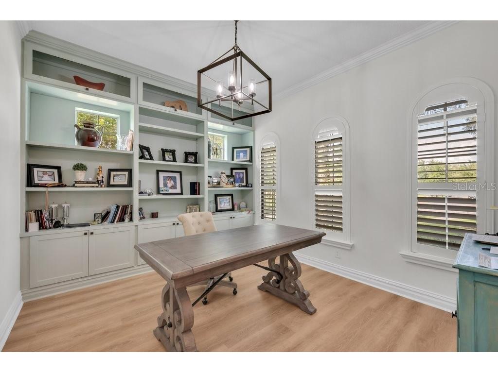 5201 Alafia Falls Drive Lithia FL 33547 TB8514791 image11