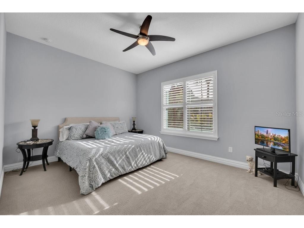 5201 Alafia Falls Drive Lithia FL 33547 TB8514791 image34