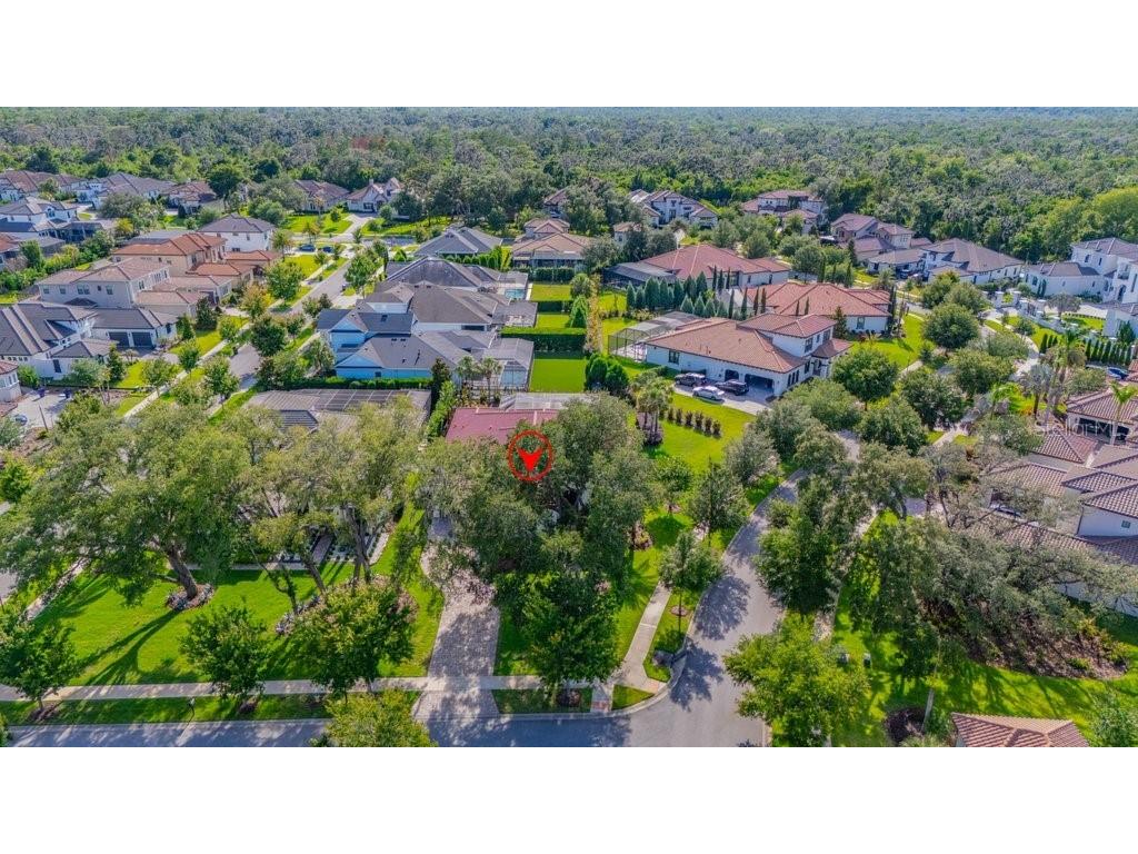 5201 Alafia Falls Drive Lithia FL 33547 TB8514791 image64