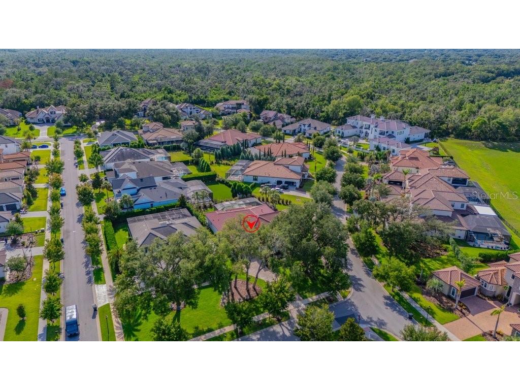 5201 Alafia Falls Drive Lithia FL 33547 TB8514791 image65