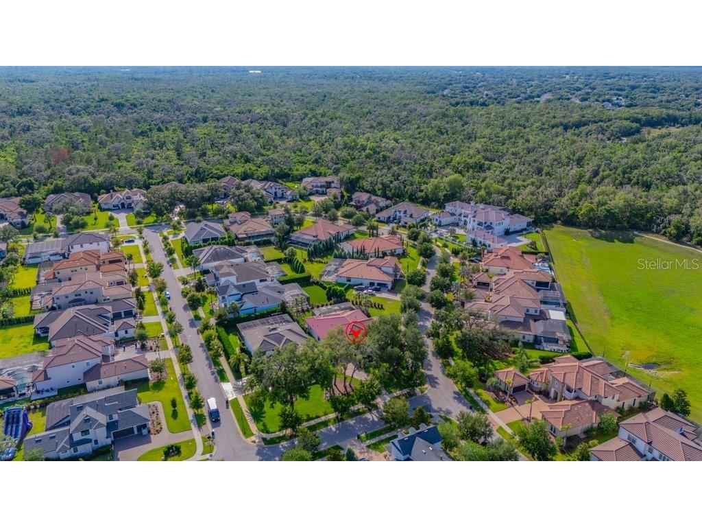 5201 Alafia Falls Drive Lithia FL 33547 TB8514791 image66