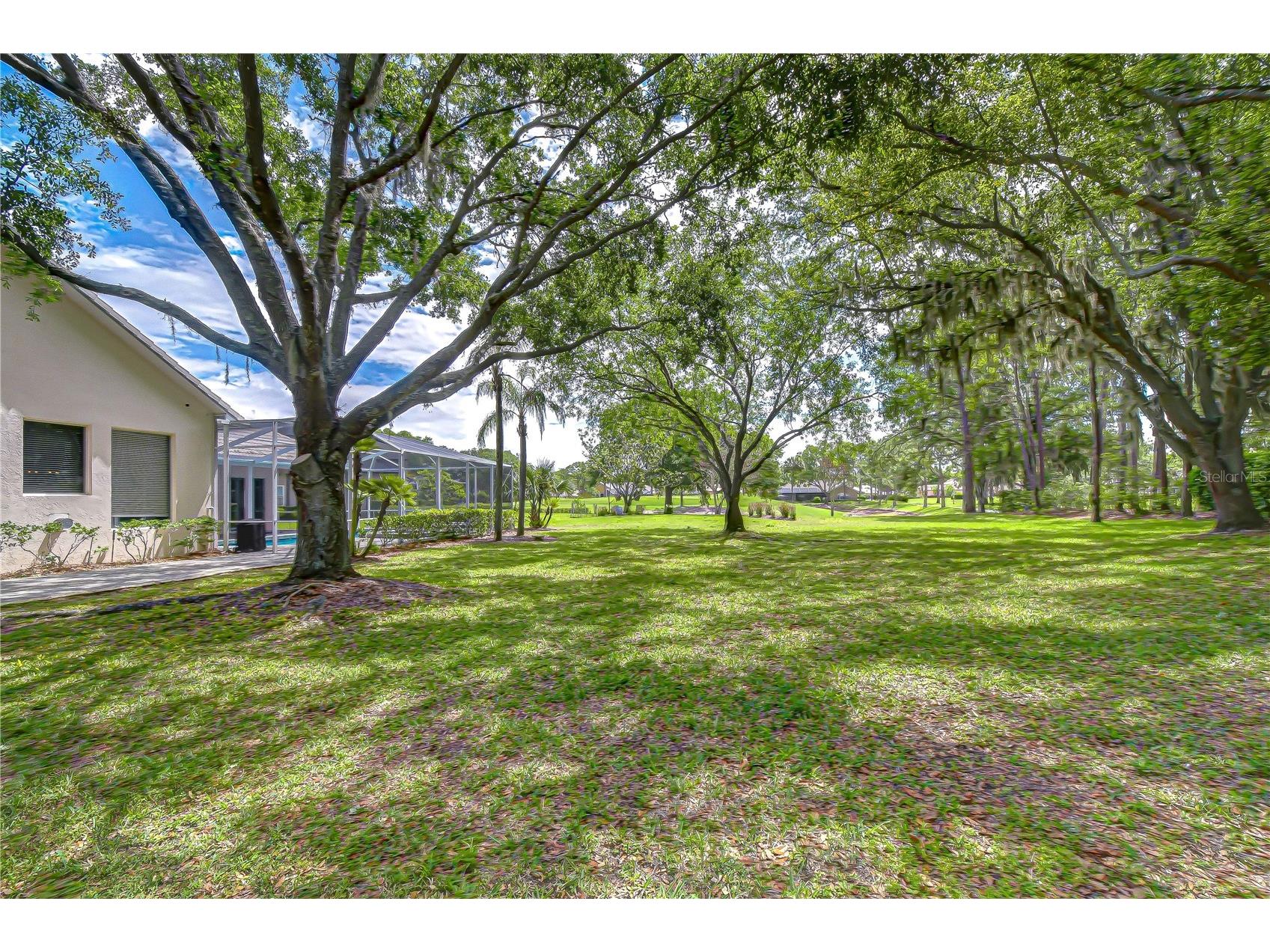 5201 Laurel Pointe Drive Valrico FL 33594 TB8495750 image3