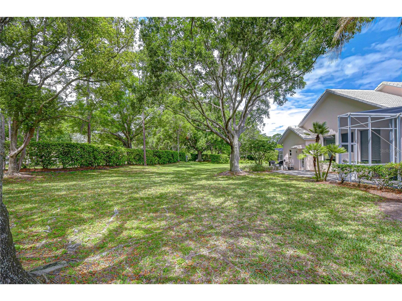 5201 Laurel Pointe Drive Valrico FL 33594 TB8495750 image30