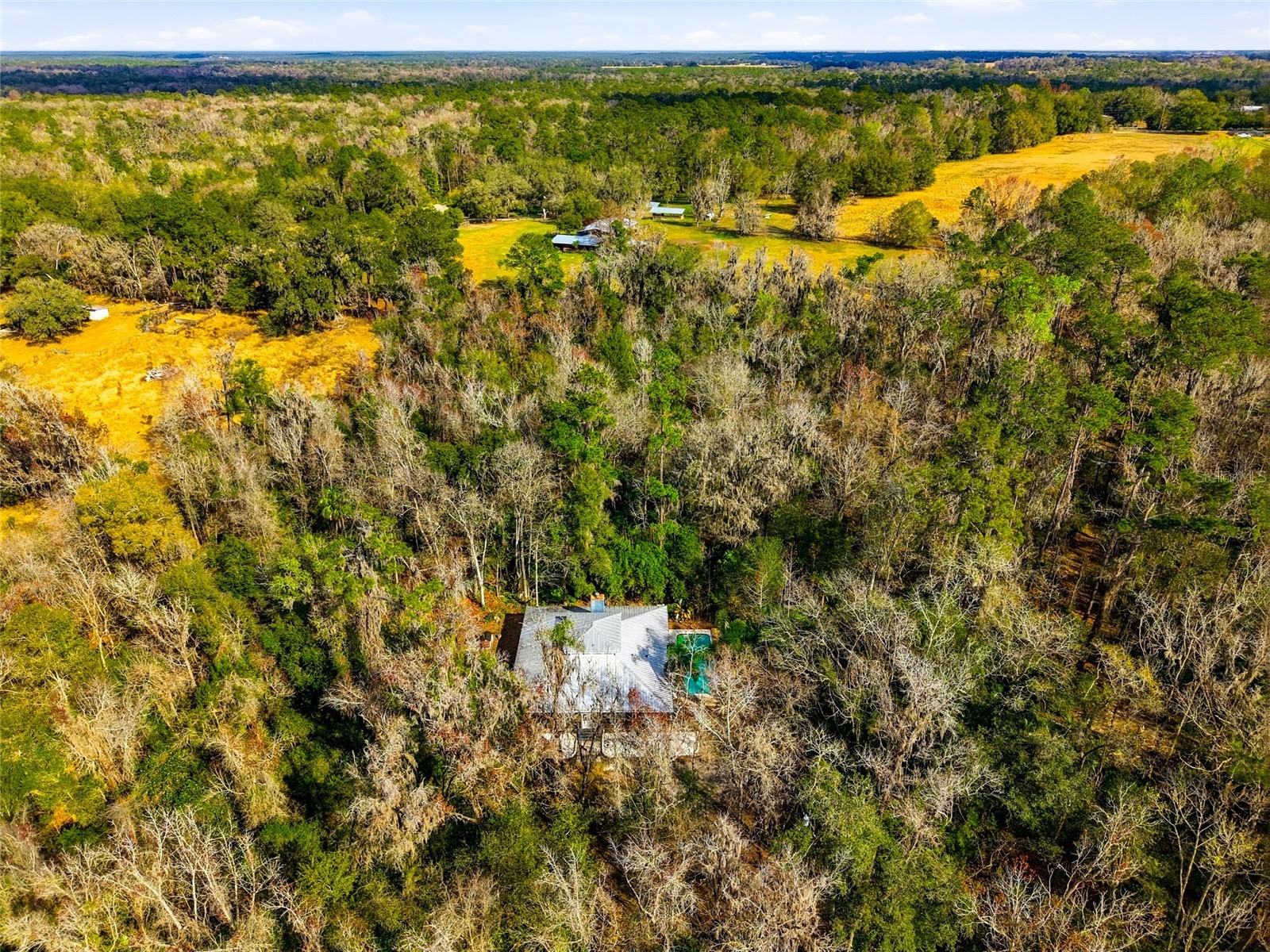 5201 Neff Lake Rd Brooksville FL 34601 TB8468632 image24