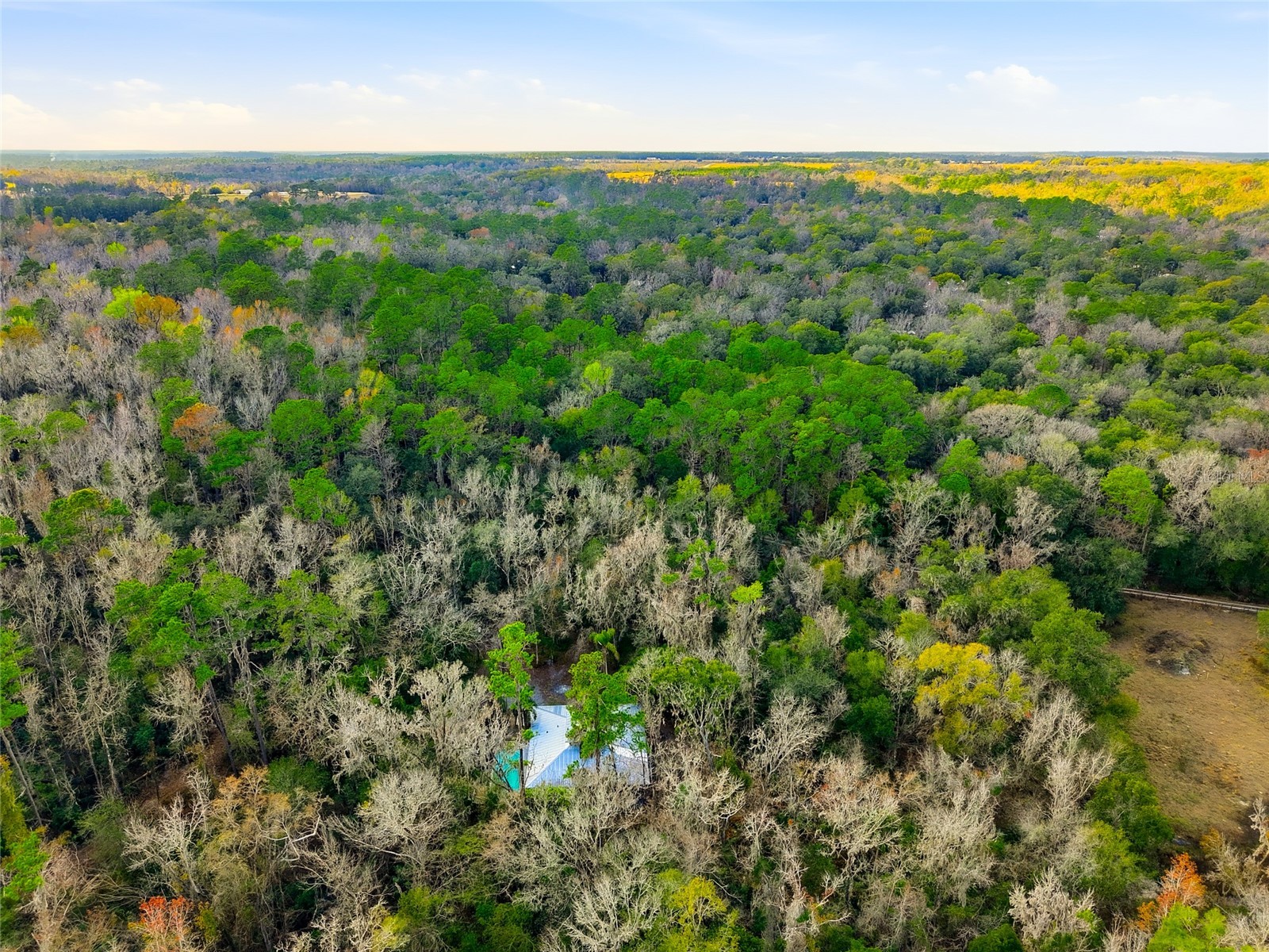 5201 Neff Lake Rd Brooksville FL 34601 TB8468632 image26