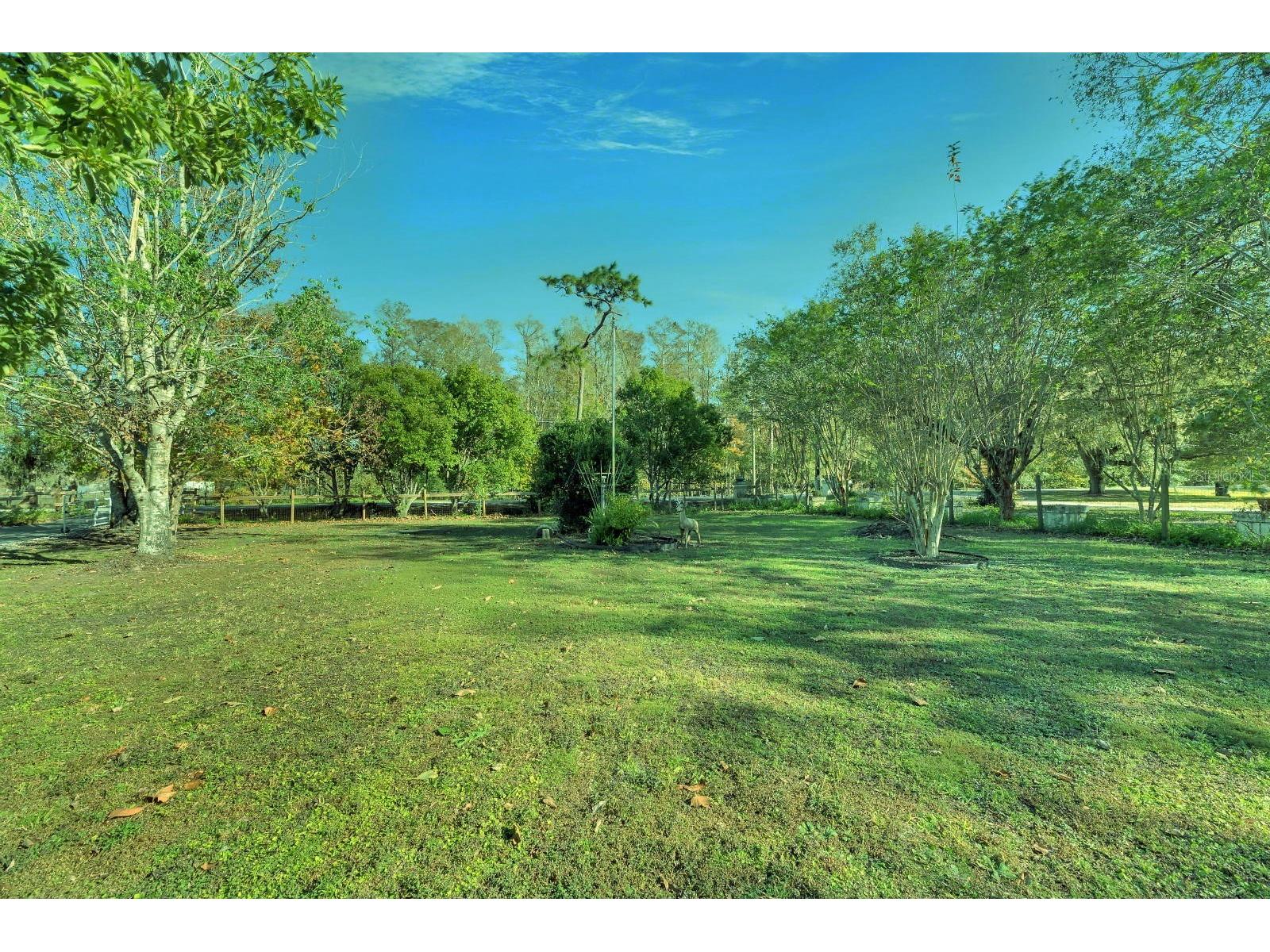 5201 Pless Road Plant City FL 33565 TB8506058 image10