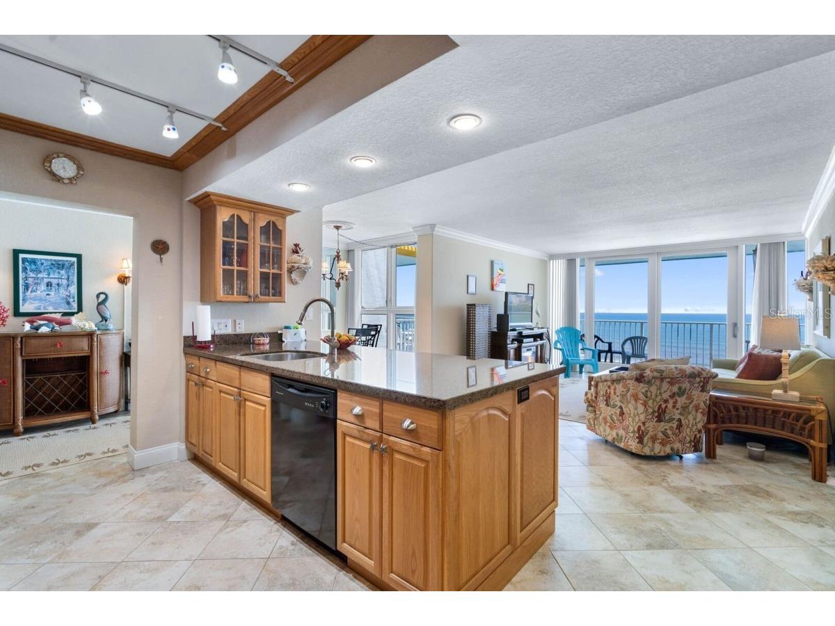 5201 S Atlantic Avenue #703A New Smyrna Beach FL 32169 O6321372 image4