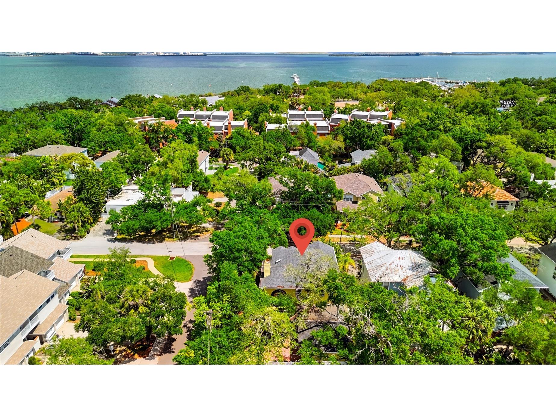 5201 S Jules Verne Court Tampa FL 33611 TB8496000 image51