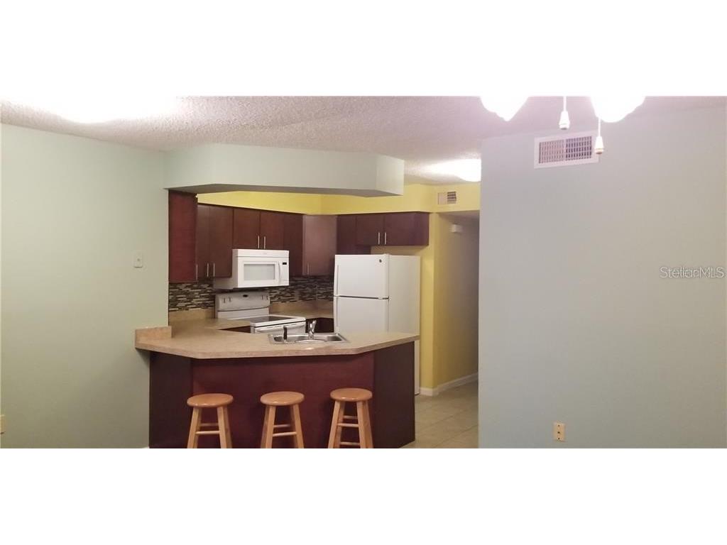 5201 S Macdill Avenue 103, Tampa, FL, 33611 MLS T3511259 Edina Realty