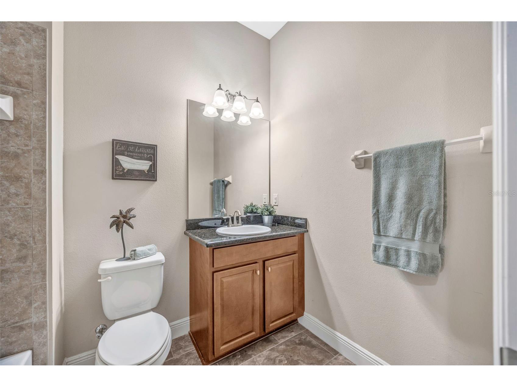 5201 Sparrowglen Place Lithia FL 33547 TB8498028 image36
