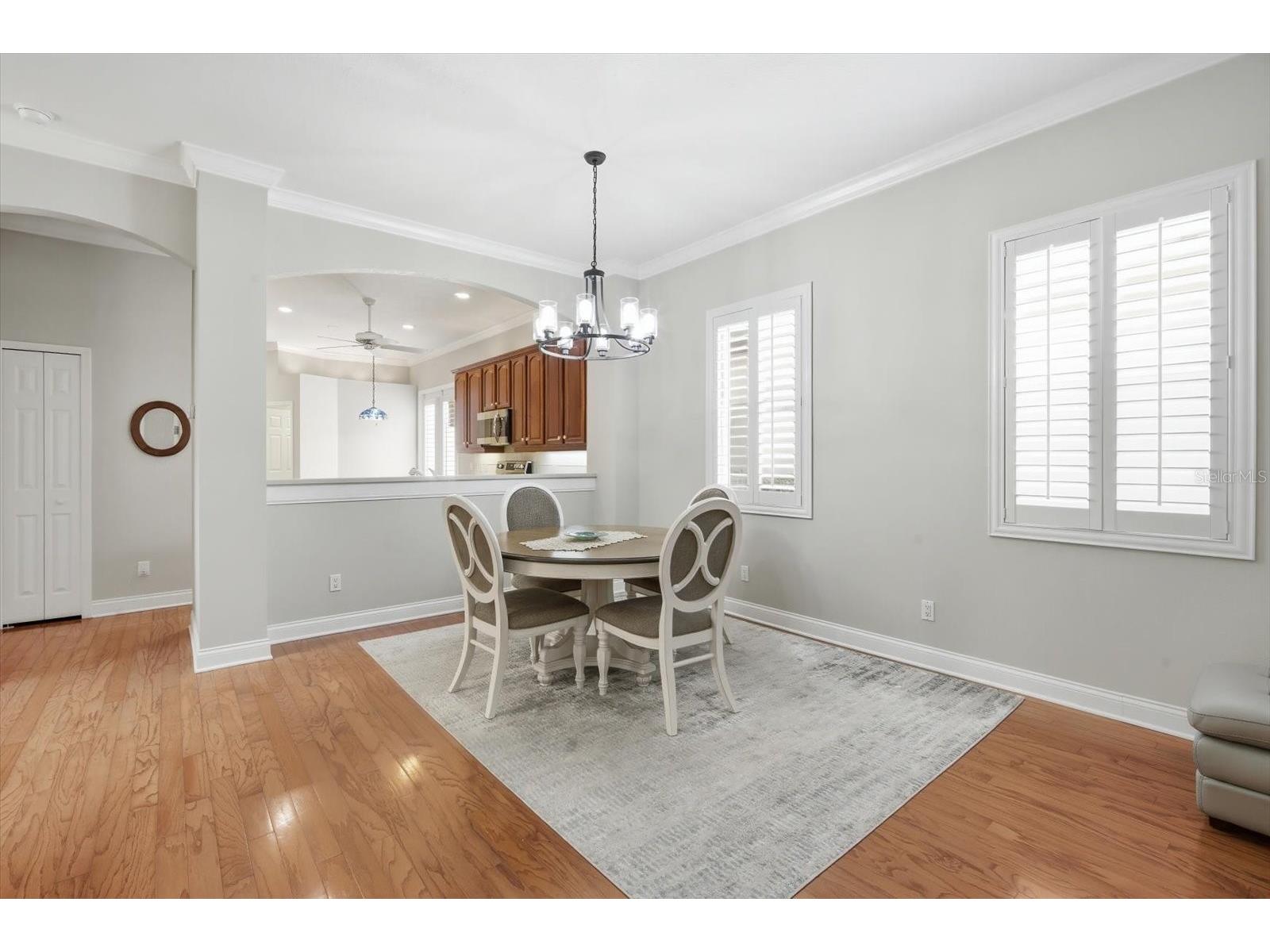 5202 Fairway One Drive Valrico FL 33596 TB8479084 image11