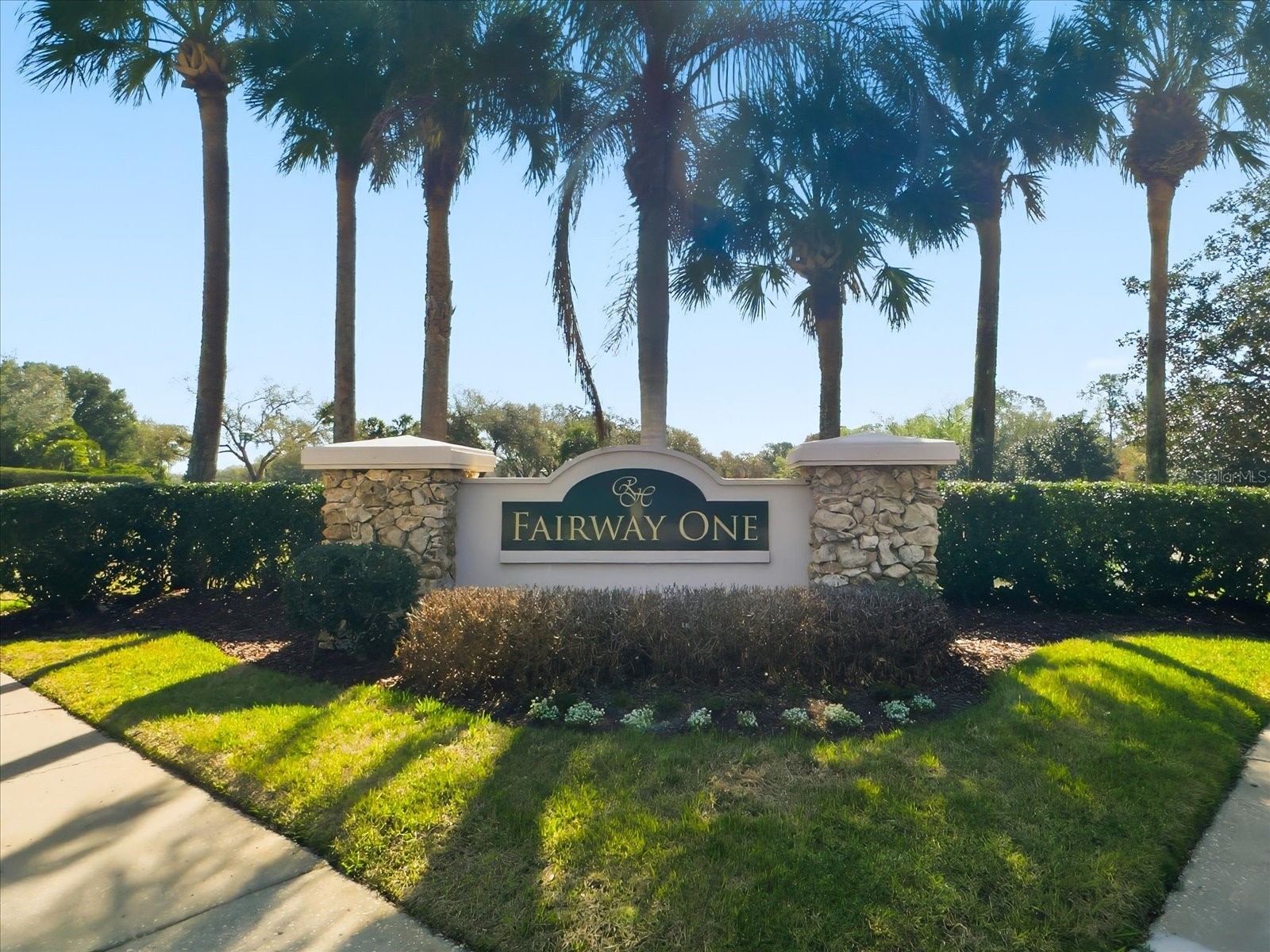 5202 Fairway One Drive Valrico FL 33596 TB8479084 image32