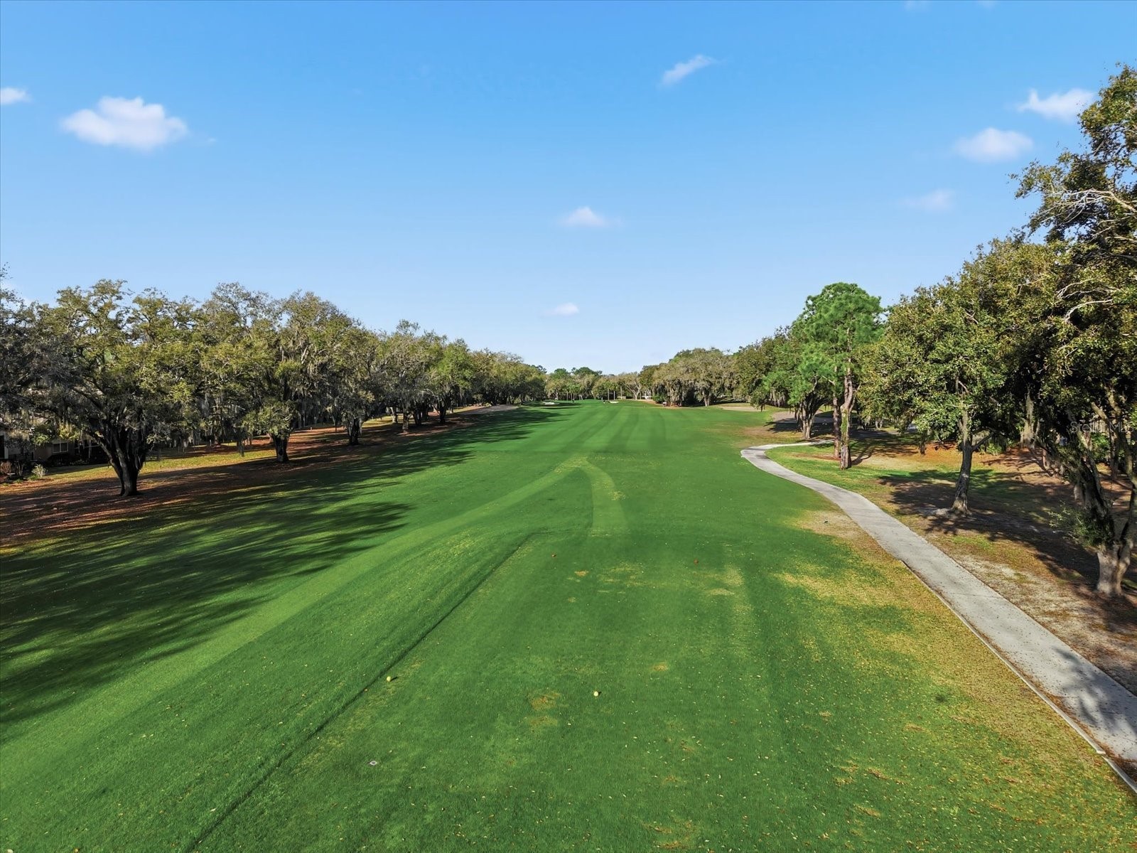 5202 Fairway One Drive Valrico FL 33596 TB8479084 image43