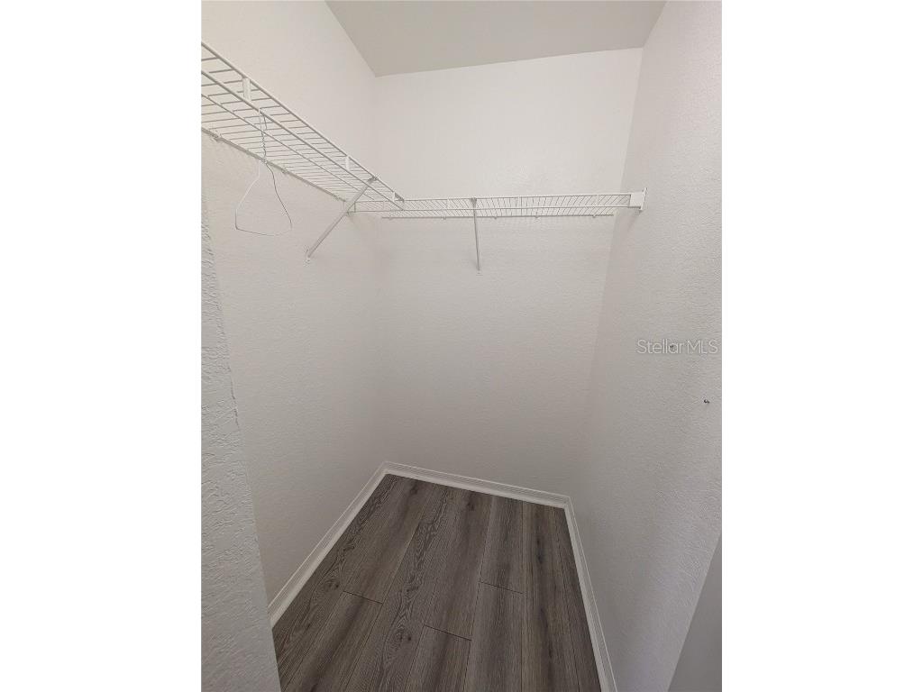 5202 Hampton Beach Place Tampa FL 33609 W7881473 image24